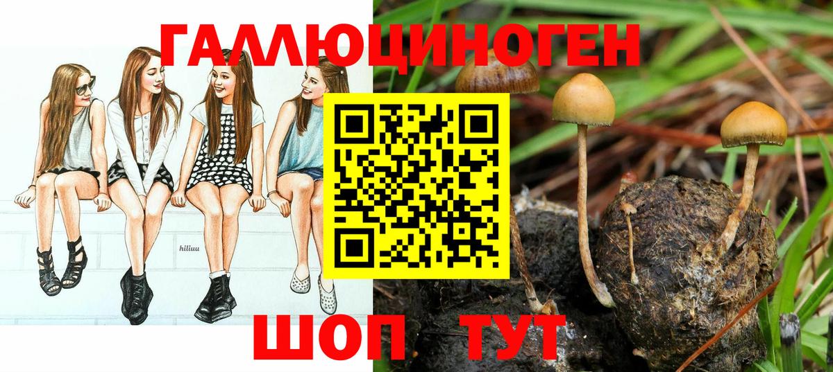 Галлюциногенные грибы ЛСД  Галлюциногенные грибы Psilocybine cubensis  Ефремов  Вход с VPN 